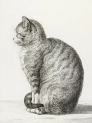 Gato sentado (1815)