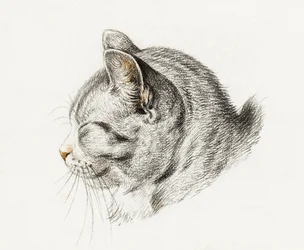 Boceto de un gato (1813)