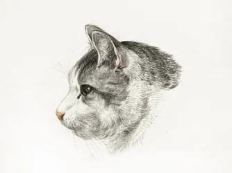 Boceto de un gato (1819), de Jean Bernard (1775-1883)
