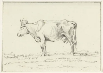 Vaca de pie, a la izquierda