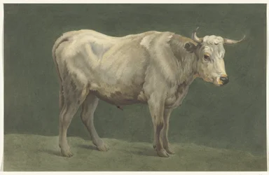 Toro de pie, a la derecha