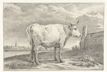 Toro de pie, a la derecha