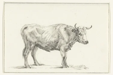 Toro de pie, a la derecha