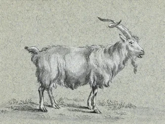 «Cabra de pie», de Jean Bernard