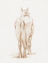 Caballo de pie (1815), de Jean Bernard