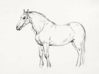 Caballo de pie (1818)