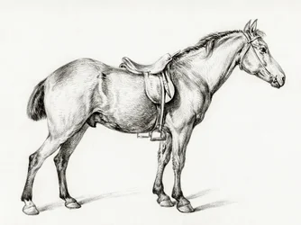 «Caballo de pie», de Jean Bernard (1775-1883)