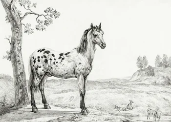 Caballo moteado de pie