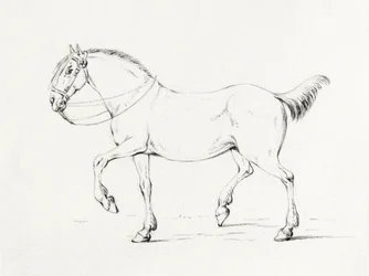 Caballo al paso (1775-1833)