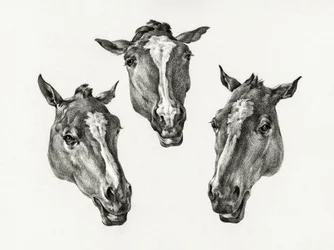 Tres cabezas de caballo (1812)