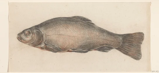 Pescado, a la izquierda