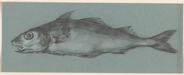 Los peces, a la izquierda