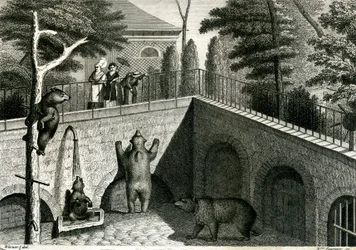 Guarida de osos en un zoo