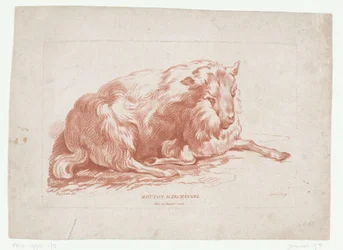 ovejas mentirosas Mouton d