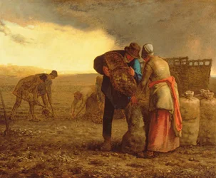 La cosecha de patatas, 1855