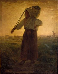 El regreso de los campos