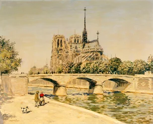 Notre Dame y el Sena