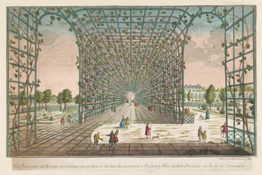 Gezicht op de loofgang van de tuin van de gobernador te Pondicherry Vista en perspectiva de la maravillosa cuna que se encuentra en los jardines del gobernador en Pondicherry, una ciudad de las Indias Orientales en la costa de Coromandel (título sobre el o