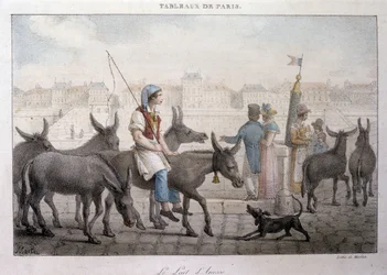Antiguo oficio de calle en París: comerciante de leche de burra (Ane dans Paris) - Grabado por Jean Henry Marlet (1771-1847) en “Les Tableaux de Paris”, serie de 72 grabados, finales del siglo XIX