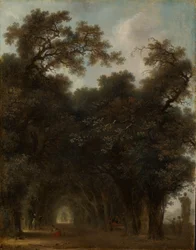 Una avenida sombreada