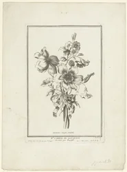 Ramo de anémona y correhuela Anémonas simples, Volubilis (título sobre objeto) IIe Cahier de Bouquets (título de la serie)