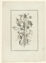 Ramo de narcisos y enredaderas Narciso, Volubilis (título sobre objeto) IIe Cahier de Bouquets (título de la serie)