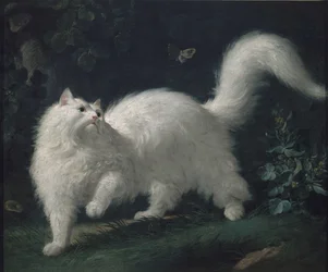 Gato de Angora persiguiendo una mariposa, h. 1760