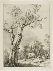 Primavera