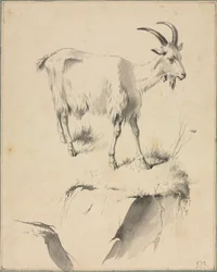 Estudio de una cabra, 1700s