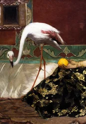 El flamenco rosa (detalle)