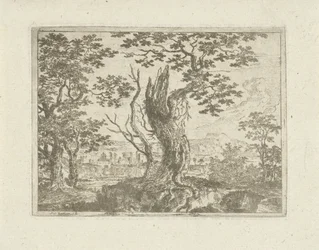 Paisaje con un árbol roto