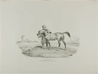 Un caballo árabe, lámina 8 de Various Subjects Drawn from Life and on Stone (The English Suite)