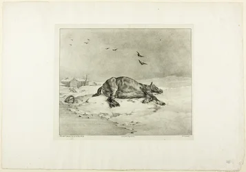 Caballo muerto