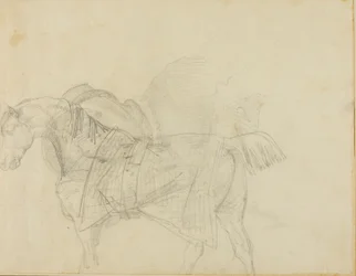 Caballo con manta