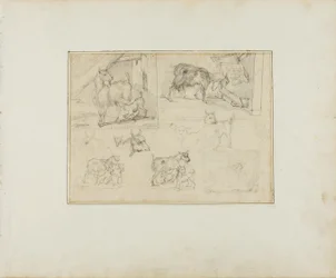Bocetos de cabras