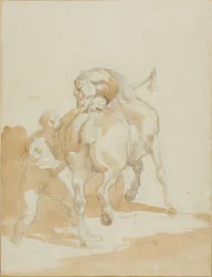 Mozo de cuadra cuidando un caballo