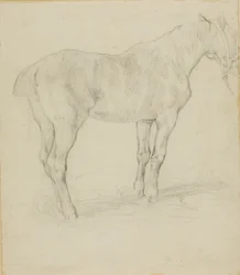 Caballo de pie