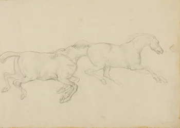 Dos caballos galopan hacia la derecha