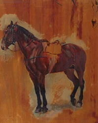 Estudio de un caballo