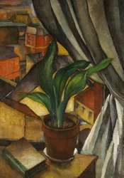 La Aspidistra, c.1912