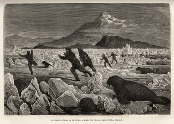 Parte de la tripulación del barco La Germania, en las Islas Clavering, descendieron sobre el hielo para cazar, fueron ellos mismos cazados por morsas que salían del agua, grabado después del dibujo de J. Moynet, ilustrando un viaje al Polo Norte en 1869-18