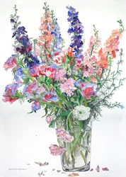Ranúnculos, Godetia, Delphiniums, 2000 (acuarela y tinta sobre papel)