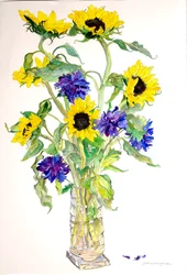 Girasoles Aster
