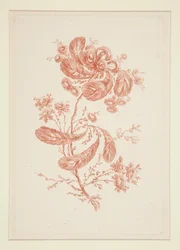 Sin título (Flores ideales), de un conjunto de seis