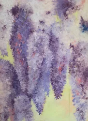 Flores de glicina, 2023 (pastel sobre papel)