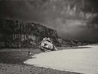 Cabeza de piedra caída
