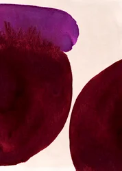 Tintes morados ecológicos