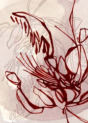 Flor roja ecológica