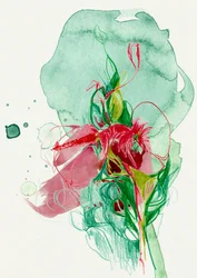 Flor abstracta llena de colorido