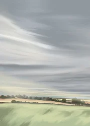Cielo tranquilo en el campo